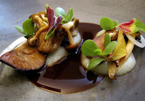 Exploring the Best Michelin-Starred Restaurants in San Antonio